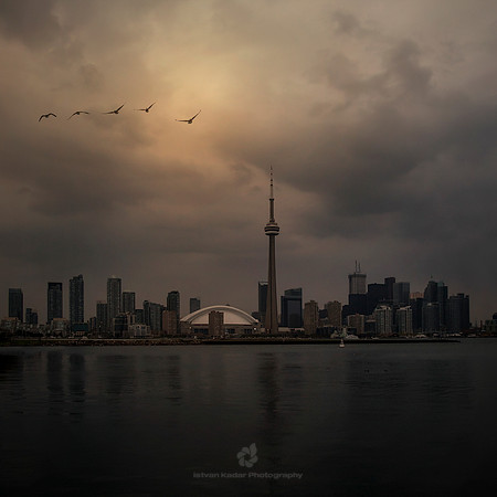 Toronto - 2010
