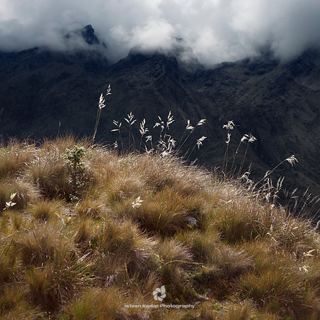 High Grassland of the Andes
