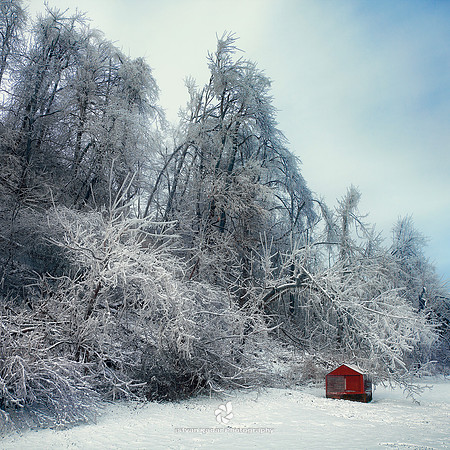Little Red House with No Doors and No Windows and a Star Inside - 2011